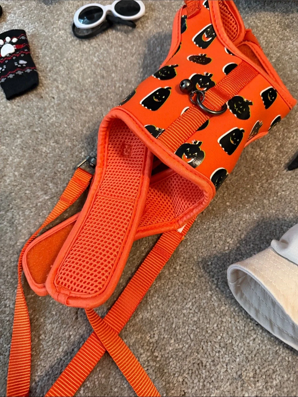 Black Cat Halloween Costume Set with Orange Harness and Accessories